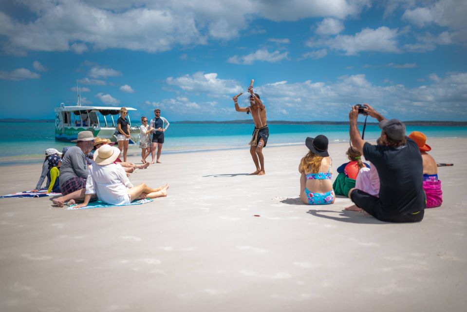 Hervey Bay: Turtle Discovery Eco Tour - Customer Reviews