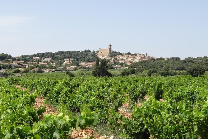 Highlights of Provence: Chateauneuf Du Pape & Luberon - Winery Visits