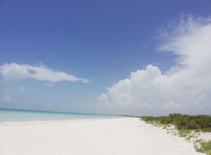 Holbox - Fishing & Snorkeling in Cabo Catoche - Fishing and Marine Life