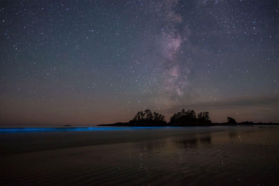 Holbox: Guided Bioluminescence Kayaking Tour - Itinerary Highlights