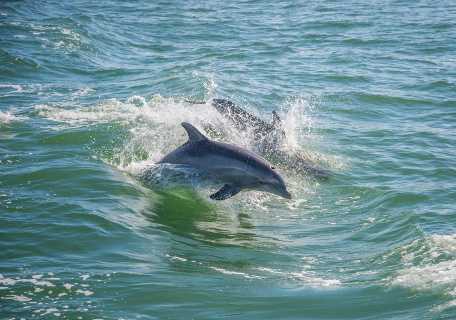 Holiday, FL: Anclote Key Preserve Private Boat Tour - Booking Information