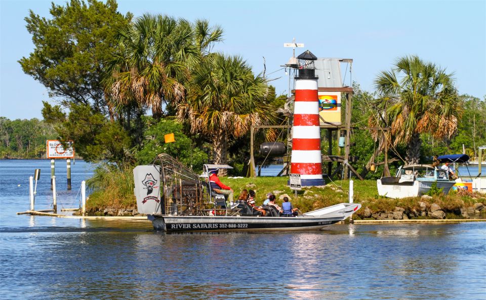 Homosassa: Gulf of Mexico Airboat Ride and Dolphin Watching - Highlights of the Tour