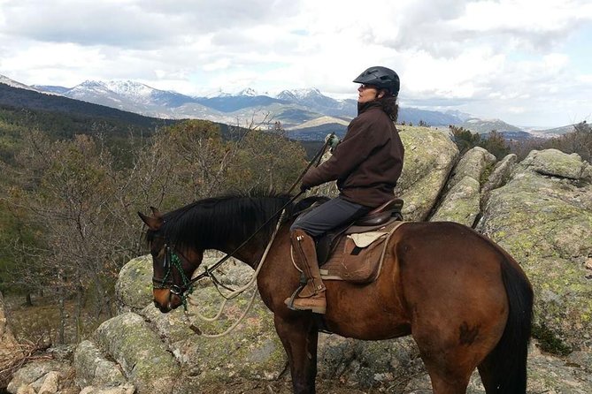 Horse Riding Madrid Natural Park - Whats Included in the Tour