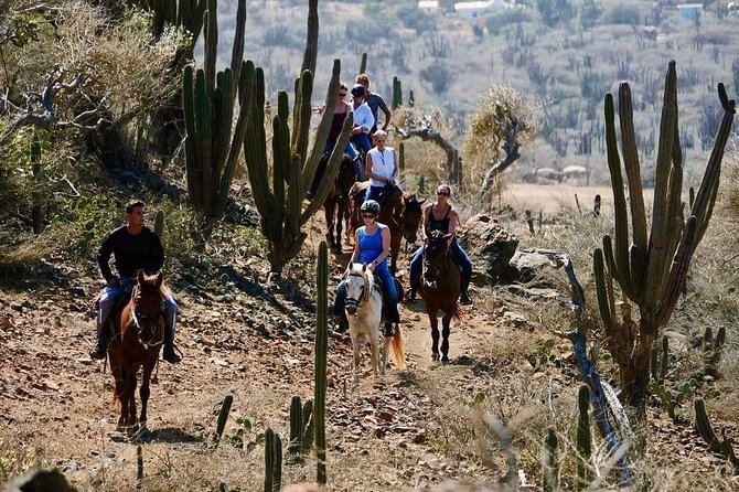 Horseback Ride Tour to Natural Pool in Arikok National Park - Included in the Tour