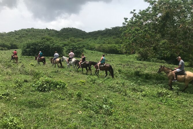 Horseback Riding Experience - Tour Inclusions