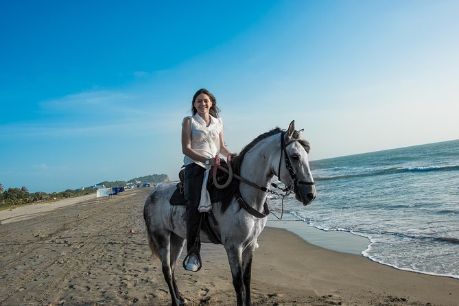 Horseback Riding Tour in Beach of Cartagena - Transportation Details