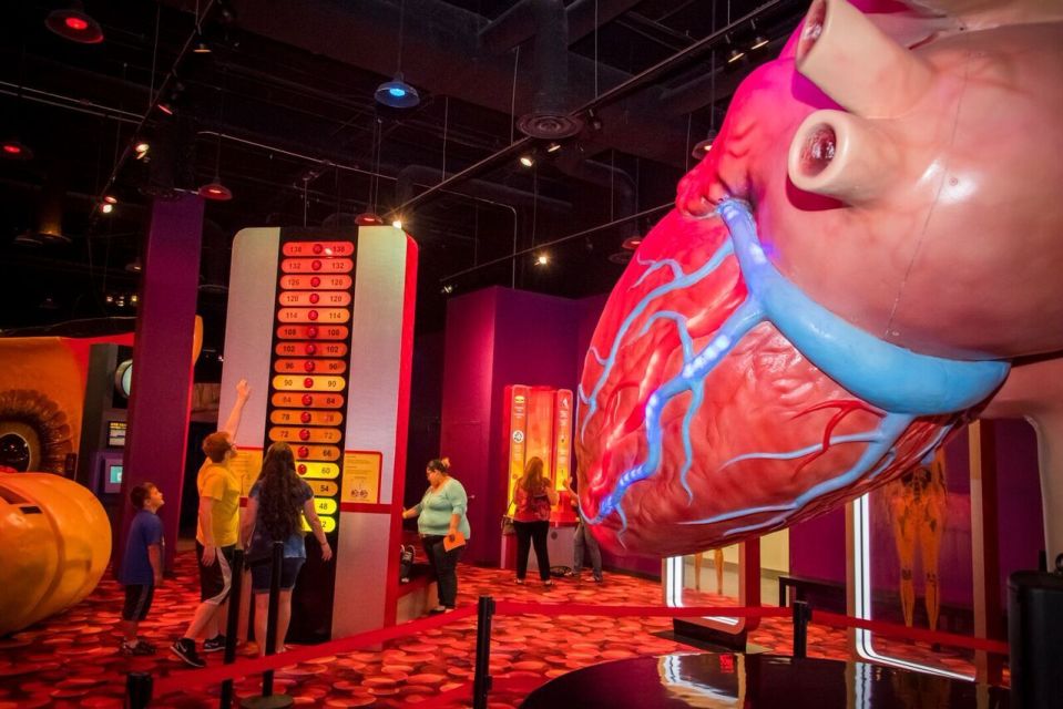 Houston: 1-Day or 3-Day Museum Pass - Special Admissions and Discounts