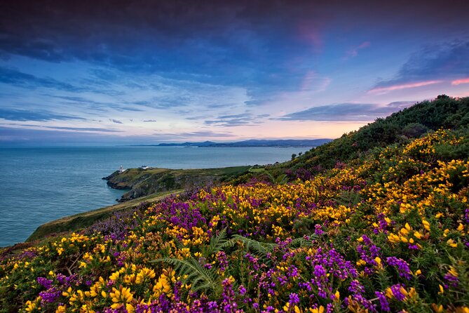 Howth Coastal Half-Day Bus Tour From Dublin With Live Guide - Explore Howth Summit and Village