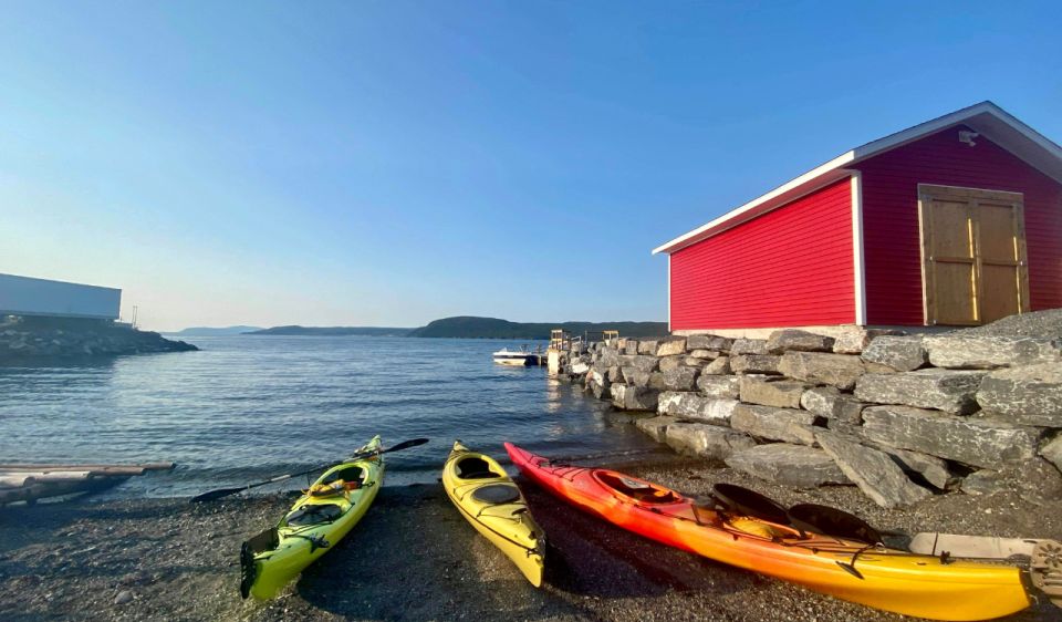 Humber Arm South: Bay of Islands Guided Kayaking Tour - Exploring the Coastline