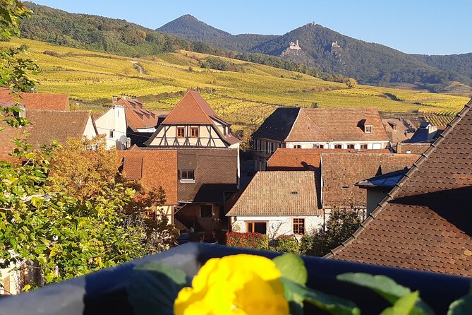 ICONICS Tour: 1/2 Day on the Wine Route, Visit of 2 Villages + Tasting. - Inclusions and Exclusions