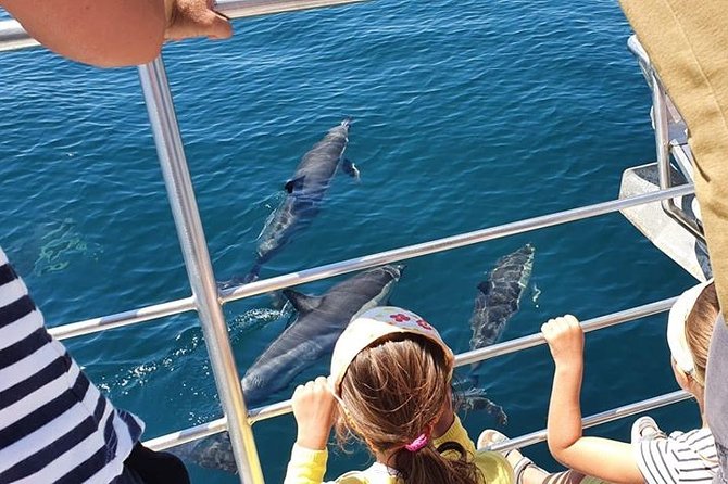 Incredible Dolphin Watching Experience on Our Family Friendly Catamaran - Lagos - Vessel Features and Amenities