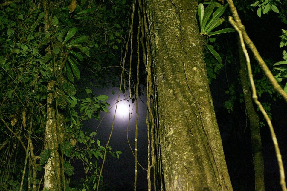 Iquitos: Incredible 4-Day Amazon Tour - Exploring Indigenous Communities