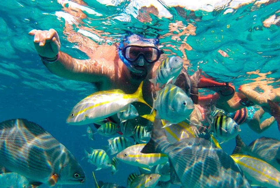 Isla Mujeres Full–Day Sailing Trip With Lunch and Open Bar - Snorkeling at Coral Reef