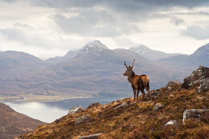 Isle of Skye, the Highlands and Loch Ness - 3 Day Tour From Glasgow - Included in the Tour