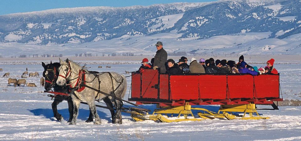 Jackson: Grand Teton and National Elk Refuge Winter Day Trip - Grand Teton National Park