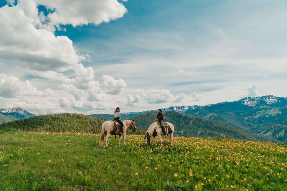 Jackson Hole: Moose Meadow Horseback Tour With Breakfast - Experience