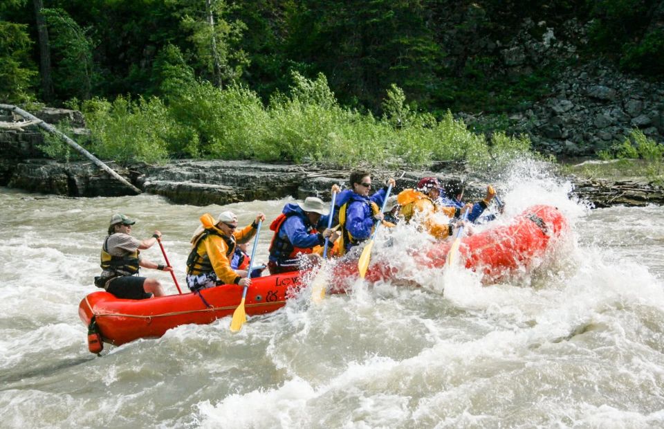 Jackson Hole: Snake River Whitewater Rafting Tour - Rapids and Wildlife