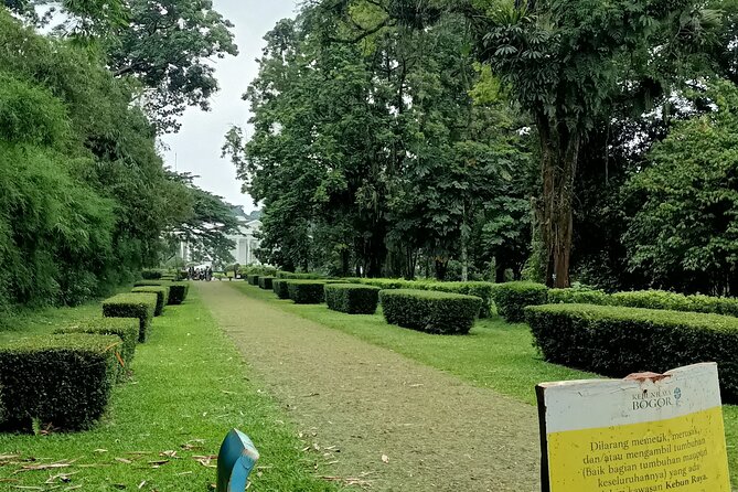 Jakarta Bogor Botanical Garden, Waterfall and Rice Terrace, Lunch - Wooden Puppet Maker Experience