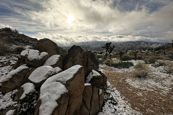 Joshua Tree National Park Self-Driving Audio Tour - Meeting and Pickup Details