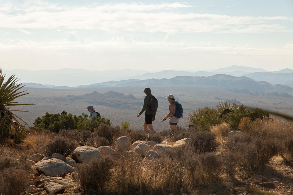 Joshua Tree NP: Sunrise or Sunset Tour - Sunset & Stargazing Experience