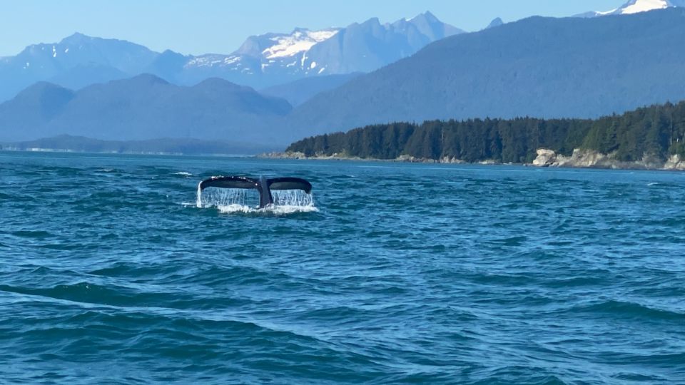 Juneau: Mendenhall Glacier Waterfall & Whale Watching Tour - Tour Details