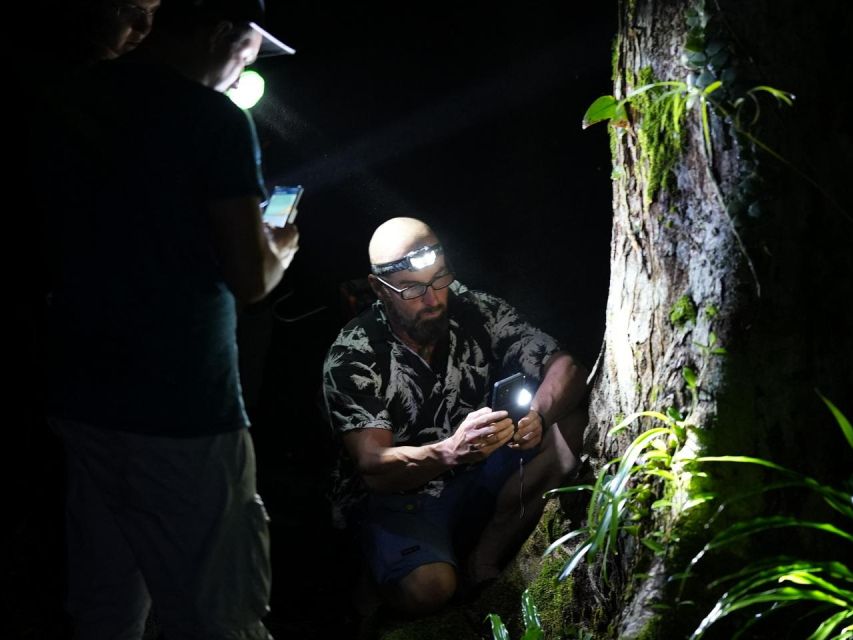 Jungle Night Tour : Finding Snakes and Night Species - Itinerary