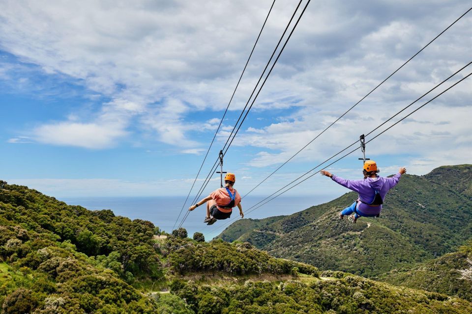 Kaikoura: Zipline and Native Forest Adventure Trip - Pricing and Duration