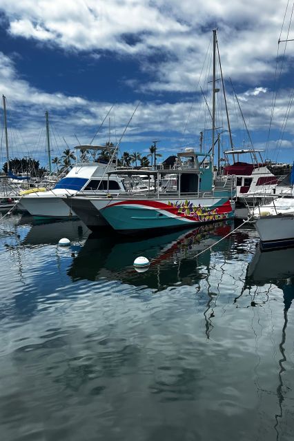 Kailua-Kona: Captain Cook Reef Catamaran Day Trip With Lunch - Highlights of the Trip