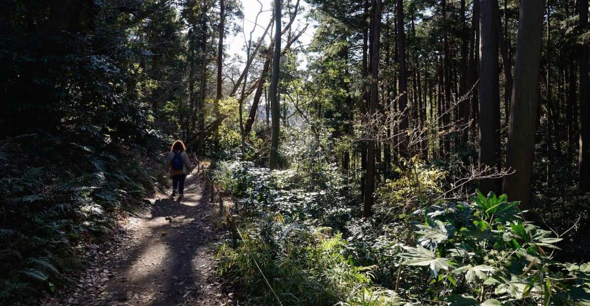 Kamakura: Daibutsu Hiking Trail Tour With Local Guide - Exploring Kamakuras Cultural Highlights