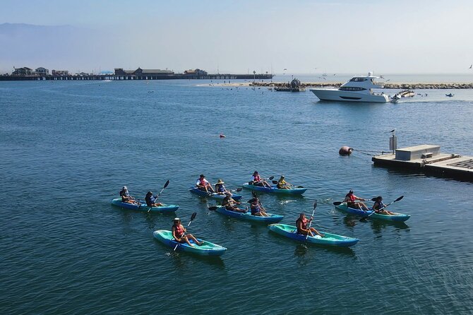 Kayak Tour of Santa Barbara With Experienced Guide - What To Expect