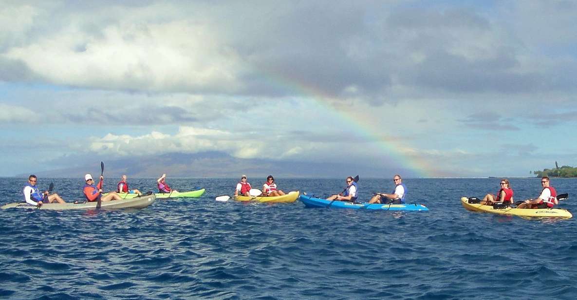 Kayaking and Snorkeling at Turtle Reef - Spotting Humpback Whales