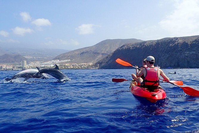 Kayaking With Dolphins and Turtles and Snorkelling in Tenerife - Kayaking Along the Beaches
