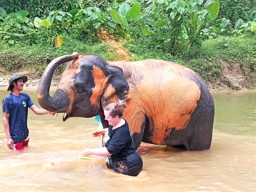 Khaolak: Elephant Sanctuary With Turtle Conservation Center - Elephant Sanctuary Experience