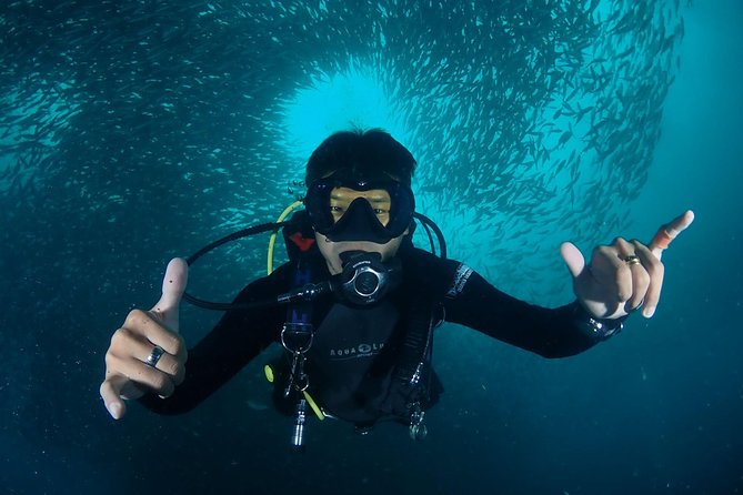 Koh Samui 2-Dive Trip to Sail Rock for Certified Divers - Highlights of Sail Rock