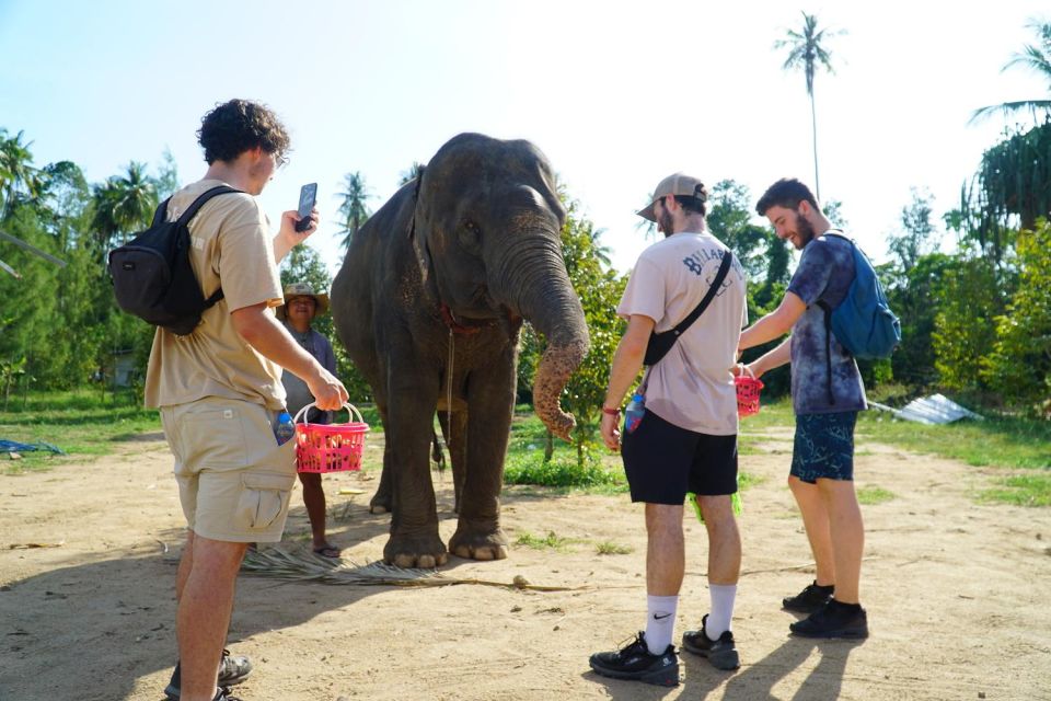 Koh Samui: 4x4 Sightseeing Safari & Elephant Sanctuary Tour - Highlights of Koh Samui