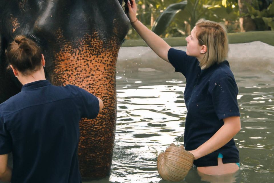 Koh Samui: Ethical Elephant Home Guided Tour With Transfers - Pickup and Safety Briefing