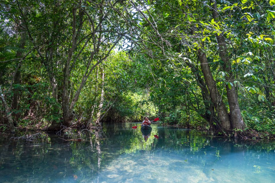 Krabi: Crystal Lagoon Kayaking and Horseback Riding Day Trip - Pickup and Drop-off Options