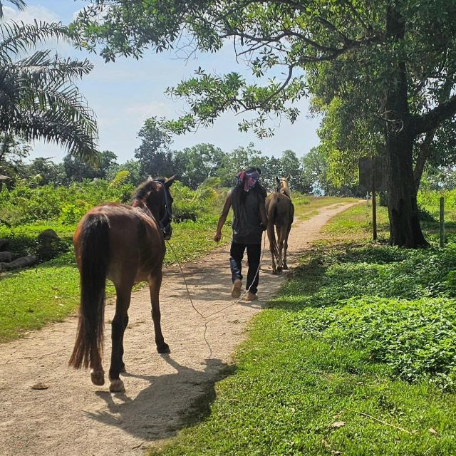 Krabi Horse Riding on the Beach and Atv Extreme - Horse Riding Experience