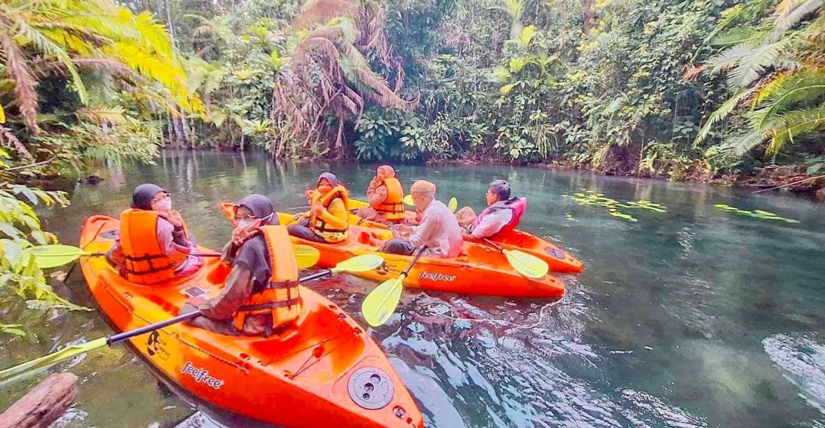 Krabi Kayaking and Swimming Clongrood Tour - Highlights