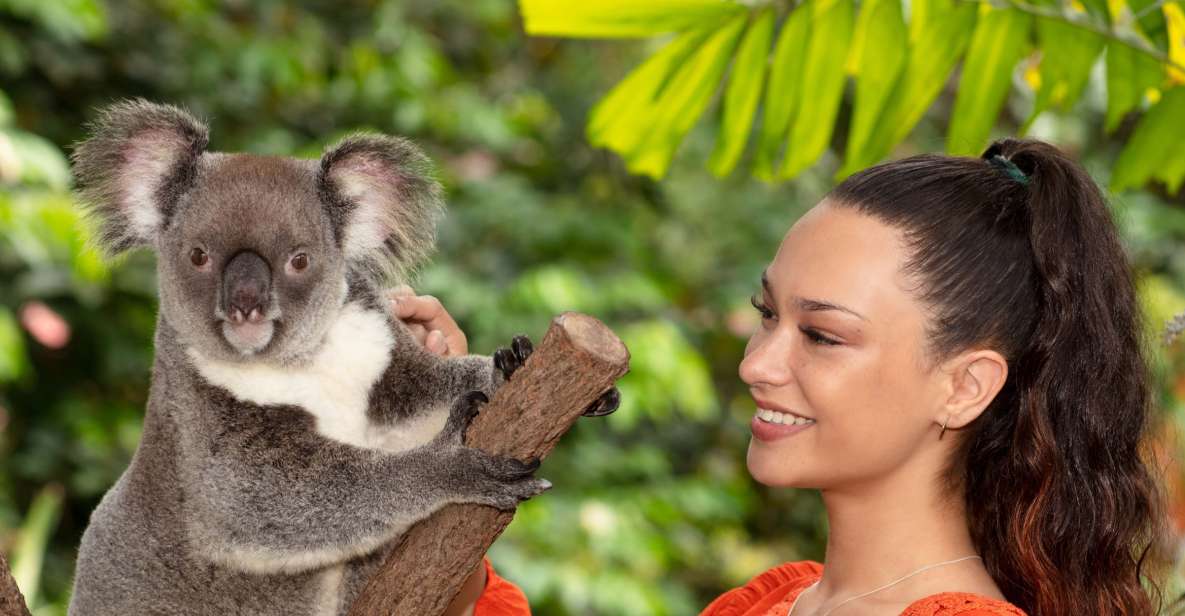 Kuranda: Koalas, Birds and Butterflies Experience - Experience Highlights