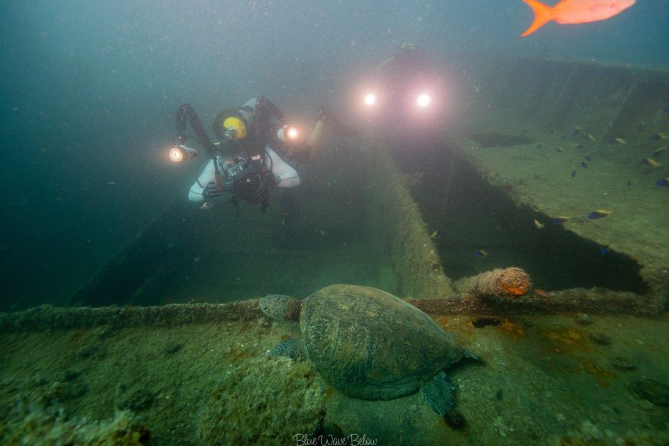 La Paz: Shipwreck Diving Experience - Exploring Mexicos First Artificial Wreck