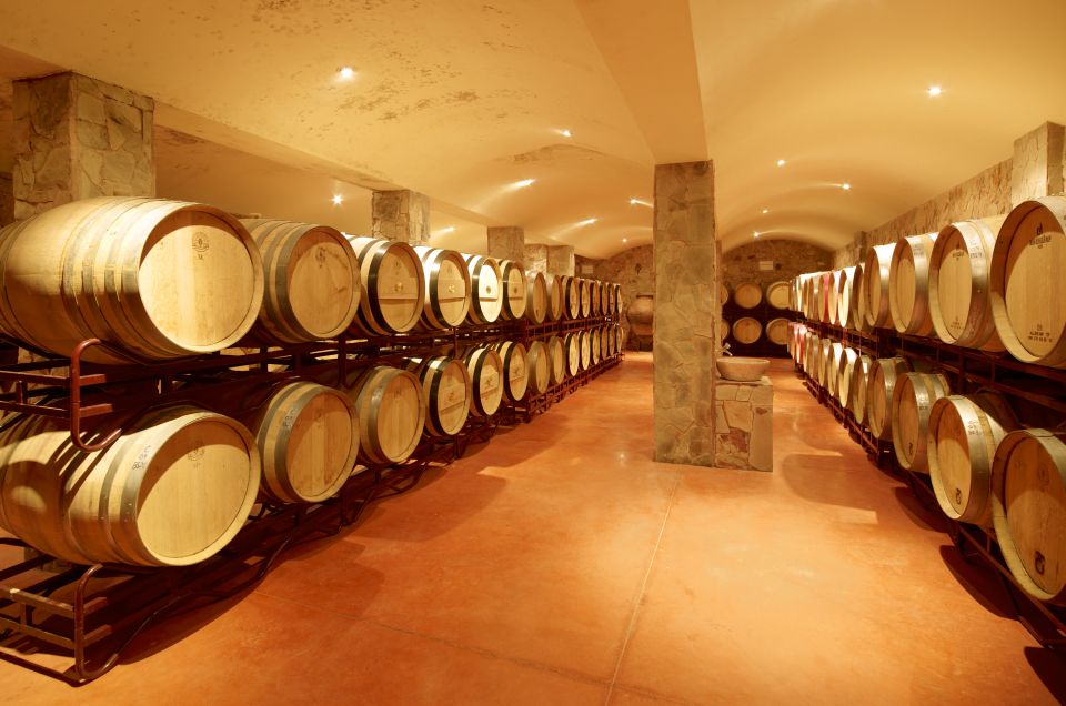 Lagoa: Guided Winery Tour and Local Wine Tasting - Experience Overview