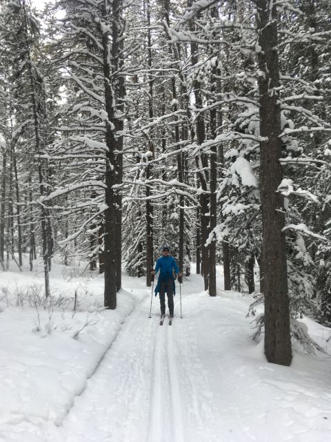 Lake Louise: Cross Country Skiing Lesson With Tour - Lesson Details