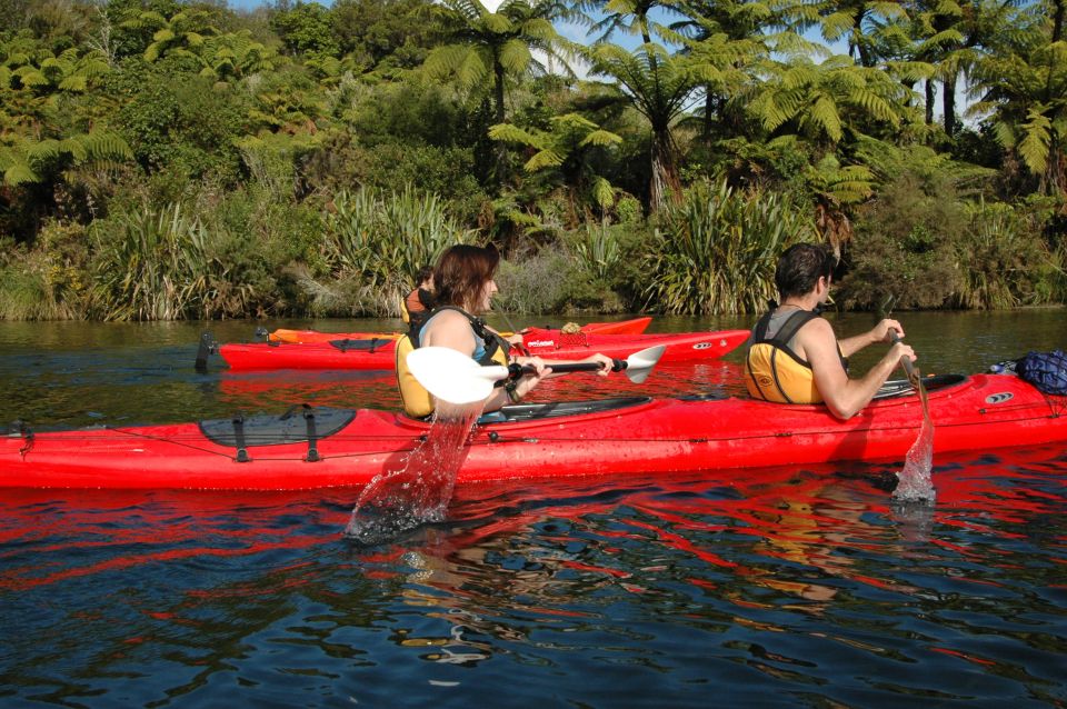 Lake Rotoiti & Hot Pools Guided Kayak - Pricing Information