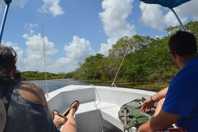 Lamanai Temples, River Cruise, Howler Monkeys V.i.V. - River Cruise Experience
