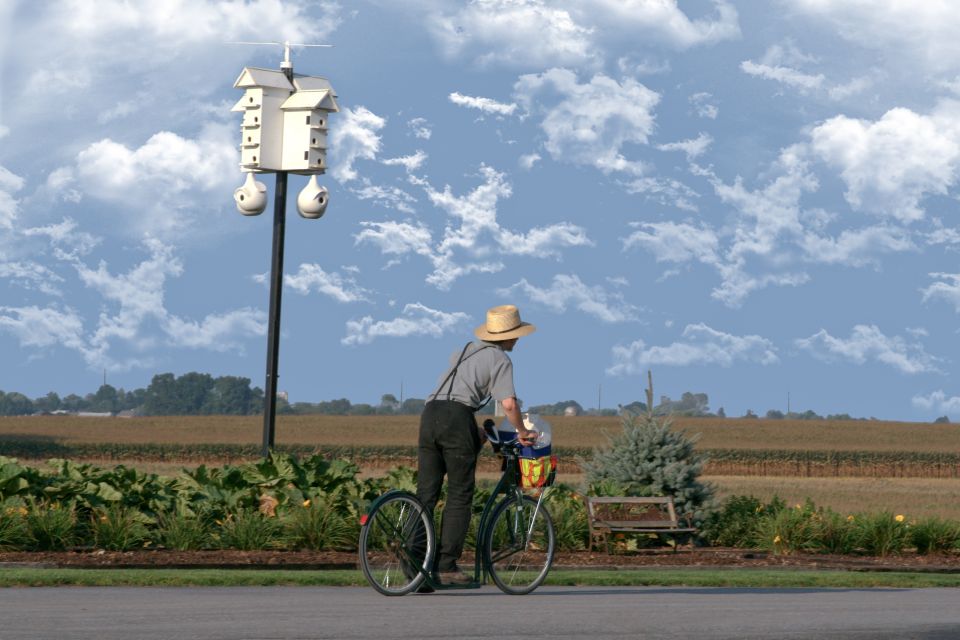 Lancaster County: Amish Farmlands, Museum Tour, Farm Visit - Guided Tour of Amish Countryside