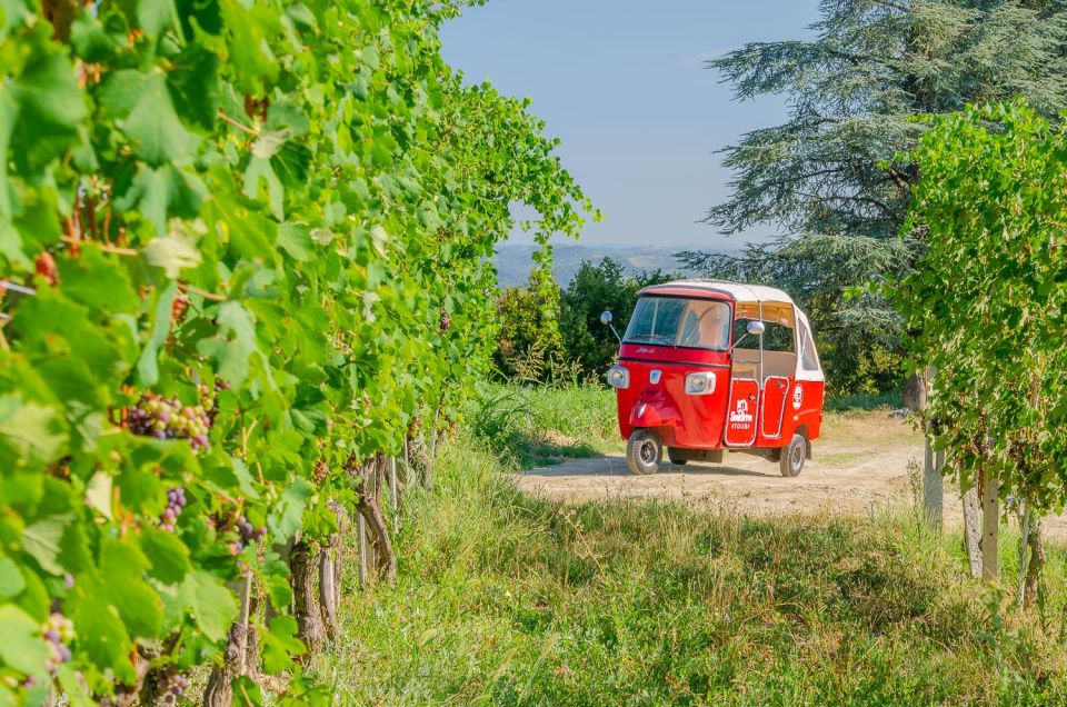 Langhe Tour by Ape With a Delicious Barolo Wine Tasting - Itinerary Highlights