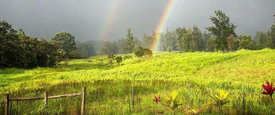 Laupahoehoe: Farm Animal Sanctuary Private Tour - Sanctuary Highlights