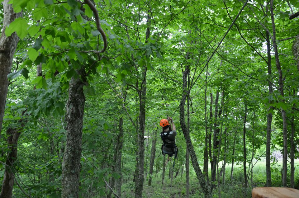 Lexington: Fully Guided Zipline Canopy Tour - Highlights