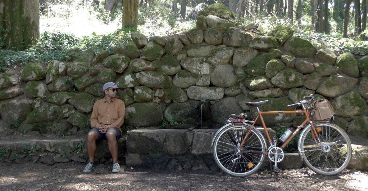 Lisbon: Guided Tour of Monsanto Park by Vintage Bike - Tour Highlights